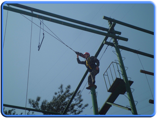 團隊建設(shè)(圖3)